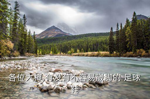 各位大神,有沒有不容易崴腳的 足球鞋