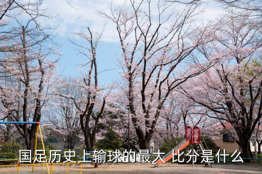 國足歷史上輸球的最大 比分是什么