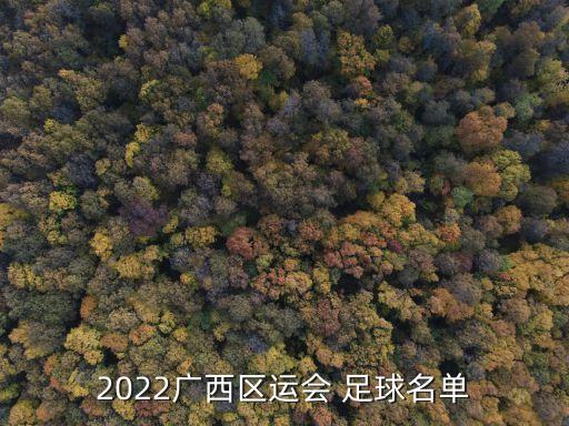 2022廣西區(qū)運會 足球名單