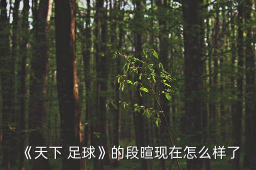 《天下 足球》的段暄現(xiàn)在怎么樣了