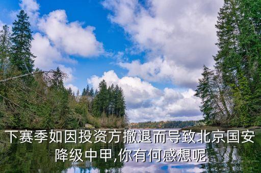 下賽季如因投資方撤退而導(dǎo)致北京國安降級中甲,你有何感想呢