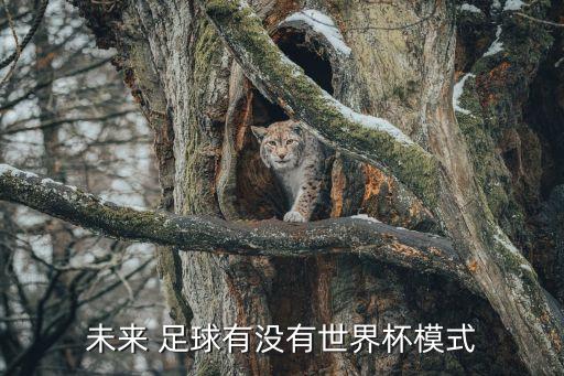 未來 足球有沒有世界杯模式