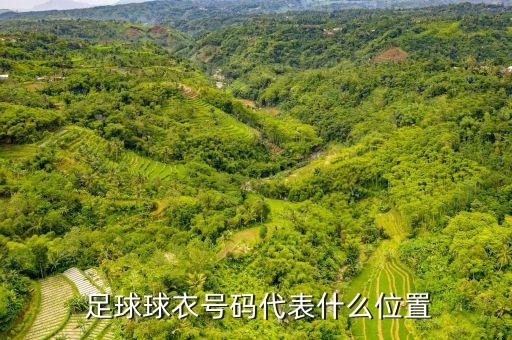 足球球衣號(hào)碼代表什么位置