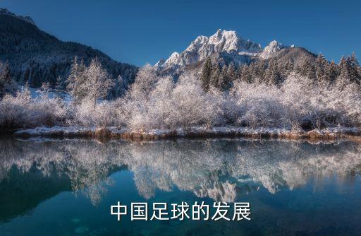 中國足球的發(fā)展
