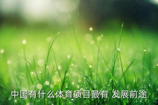 游戲發(fā)展國足球,談談我國足球發(fā)展的問題
