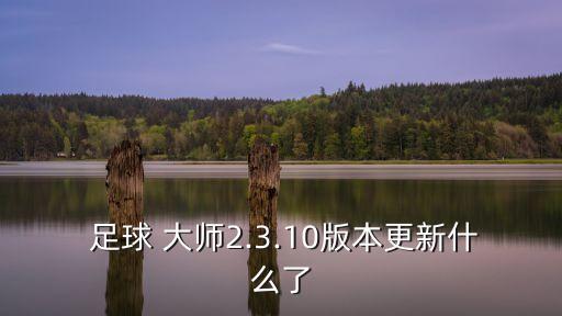 足球 大師2.3.10版本更新什么了