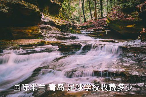 國(guó)際米蘭 青島 足球?qū)W校收費(fèi)多少