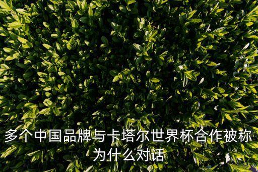 中國(guó)足球隊(duì)贊助商