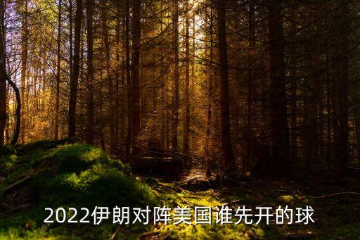 2022伊朗對陣美國誰(shuí)先開(kāi)的球