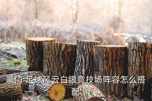 足球大逆襲 薩尼亞