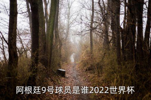 阿根廷9號球員是誰(shuí)2022世界杯