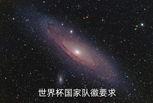 世界足球球衣的標志