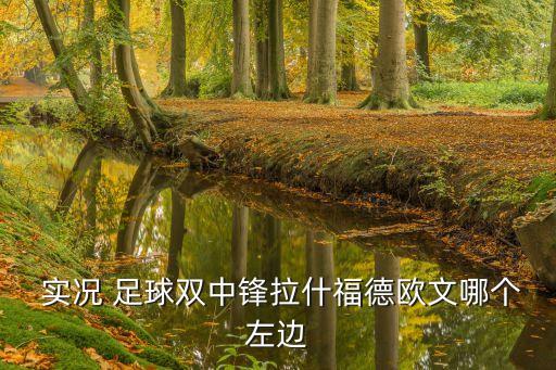 實況 足球雙中鋒拉什福德歐文哪個左邊