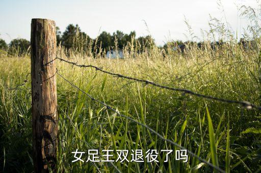 中國女子足球最新消息,女子足球中國對德國