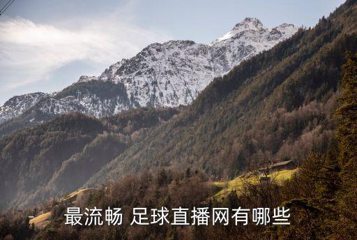 最流暢 足球直播網(wǎng)有哪些
