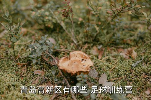  青島高新區(qū)有哪些 足球訓(xùn)練營(yíng)