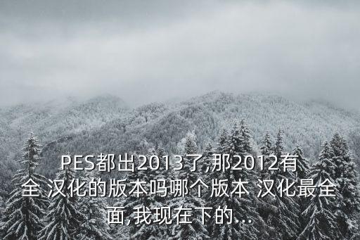 PES都出2013了,那2012有全 漢化的版本嗎哪個(gè)版本 漢化最全面,我現(xiàn)在下的...