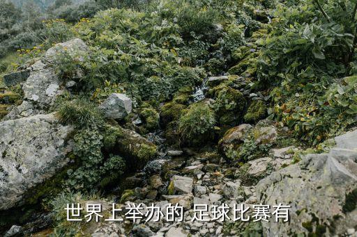 世界上舉辦的 足球比賽有