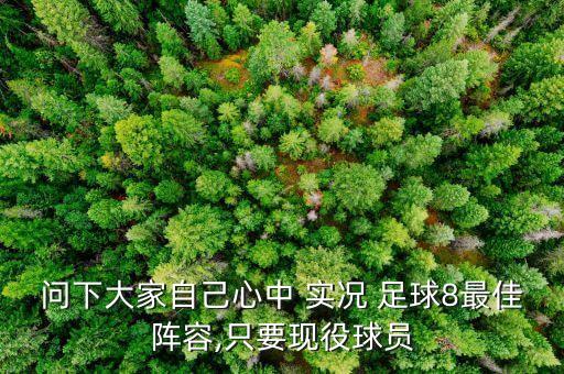 問下大家自己心中 實(shí)況 足球8最佳陣容,只要現(xiàn)役球員