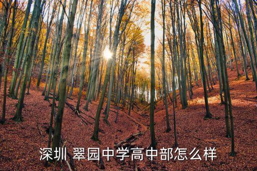 深圳 翠園中學(xué)高中部怎么樣