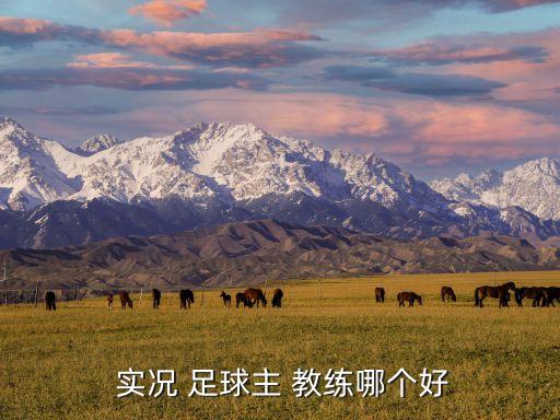  實況 足球主 教練哪個好