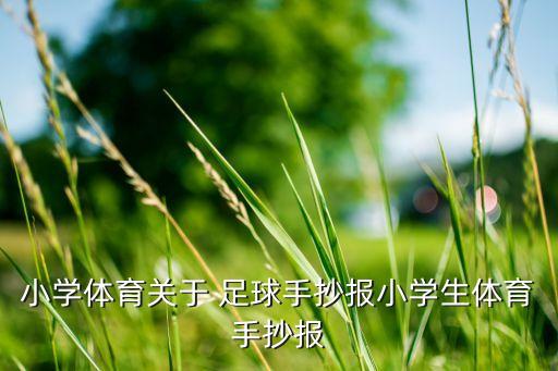 小學體育關于 足球手抄報小學生體育手抄報