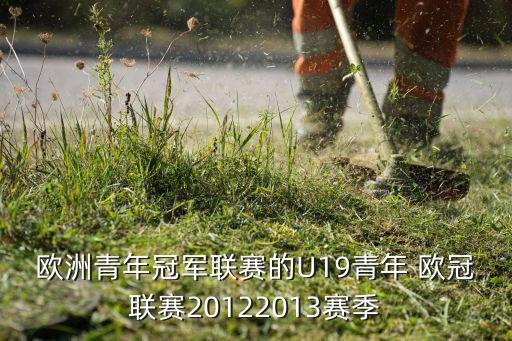 歐洲青年冠軍聯(lián)賽的U19青年 歐冠聯(lián)賽20122013賽季