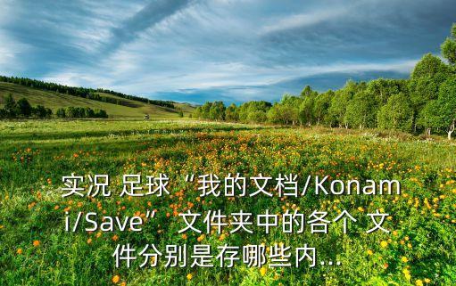  實況 足球“我的文檔/Konami/Save” 文件夾中的各個 文件分別是存哪些內(nèi)...