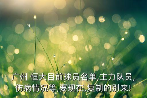 恒大足球球星,廣州恒大足球
