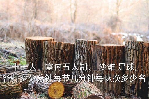 沙灘足球球員,中國沙灘足球國家隊