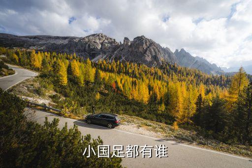 小國足都有誰