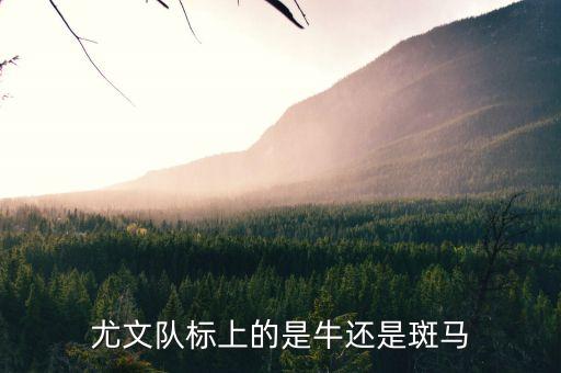 尤文隊(duì)標(biāo)上的是牛還是斑馬