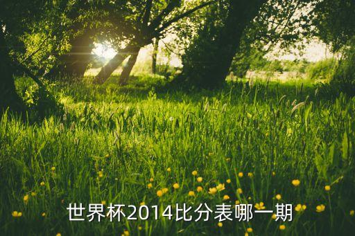 2014年足球世界杯決賽結(jié)果,1986年足球世界杯決賽