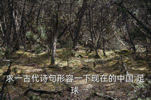 攝影老太 上海足球