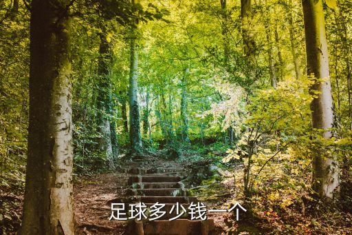  足球多少錢一個(gè)