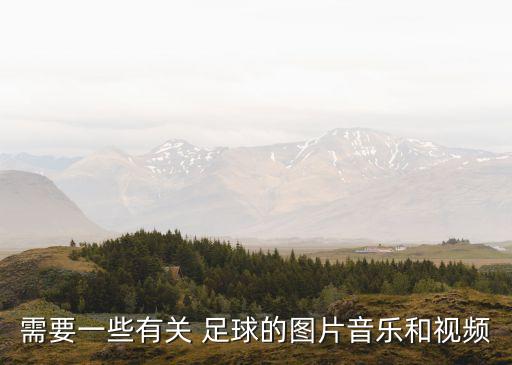 需要一些有關(guān) 足球的圖片音樂(lè)和視頻