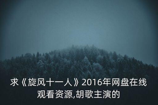 求《旋風(fēng)十一人》2016年網(wǎng)盤在線觀看資源,胡歌主演的