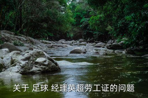 關(guān)于 足球 經(jīng)理英超勞工證的問題