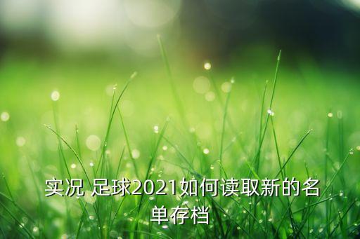 實(shí)況足球球員文件