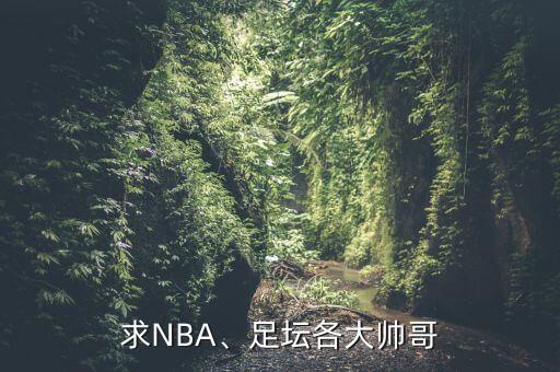 求NBA、足壇各大帥哥