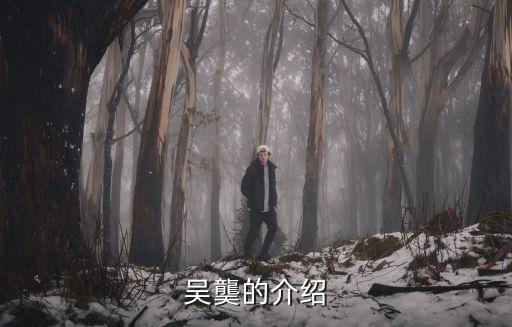 吳龑的介紹