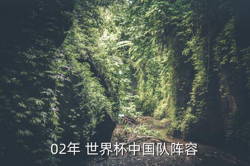 02年 世界杯中國(guó)隊(duì)陣容