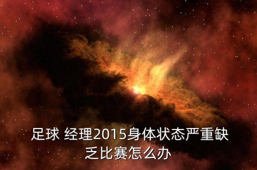 足球經(jīng)理2015 小球會