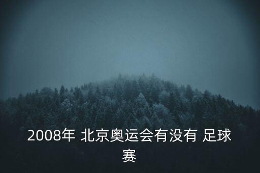 2008年 北京奧運(yùn)會(huì)有沒有 足球賽
