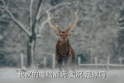 我家的電腦能玩 實(shí)況 足球嗎