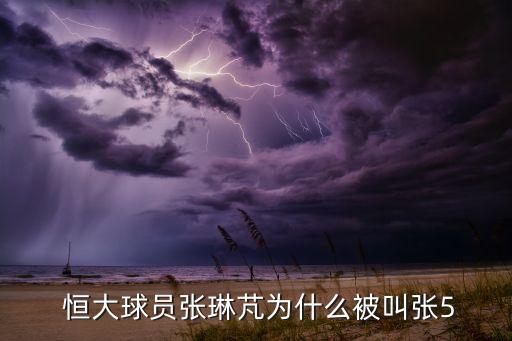  恒大球員張琳芃為什么被叫張5