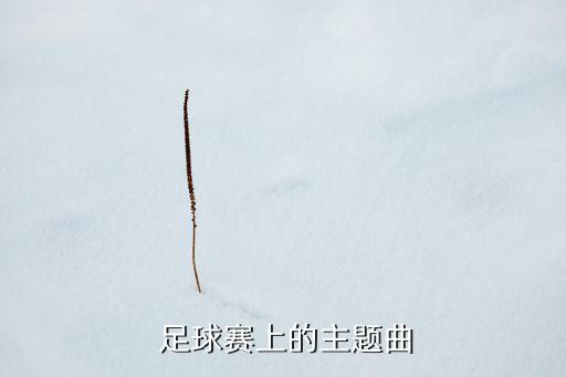  足球賽上的主題曲