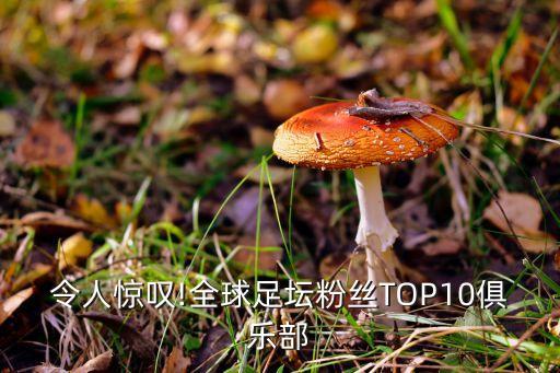 令人驚嘆!全球足壇粉絲TOP10俱樂部