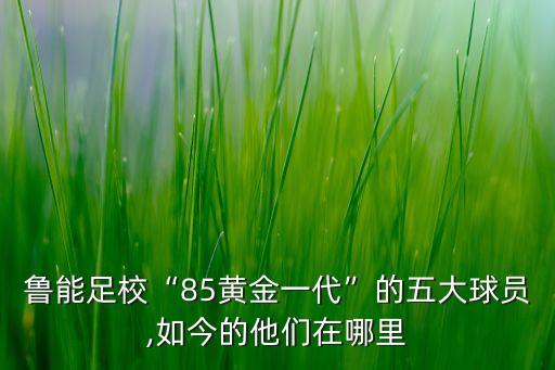 魯能足校“85黃金一代”的五大球員,如今的他們?cè)谀睦? class=