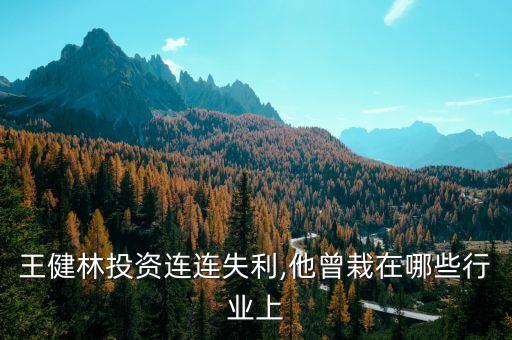 王健林投資連連失利,他曾栽在哪些行業(yè)上